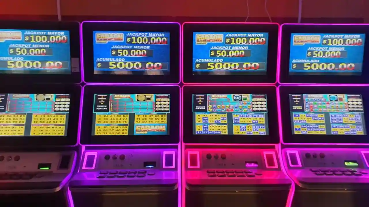 BINGO FARAON 3