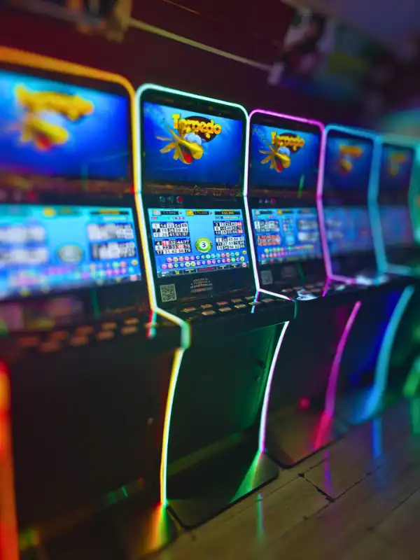 torpedo bingos instalación